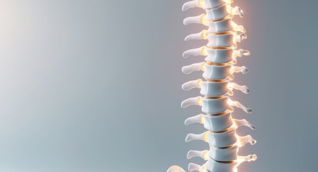 Futuristic Visualization of Human Spine with Glowing Elements photo