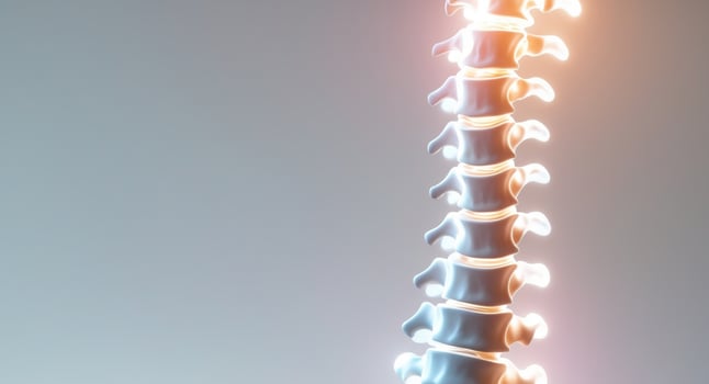 Futuristic Visualization of Human Spine with Glowing Elements. photo