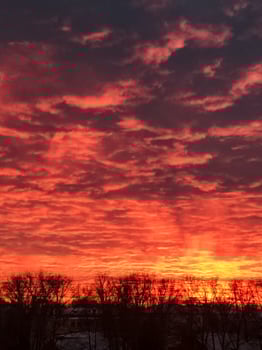 A breathtaking sunset displaying vibrant red clouds with silhouettes of trees prominently positioned in the foreground, capturing the essence of natures enchanting evening display photo