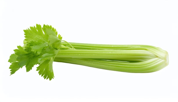 Bunch of Celery on White Background photo
