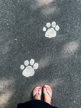 A cheerful and vibrant person wearing colorful flip flops stands beside adorable paw prints on the ground, creating a delightful contrast with the stunning natural beauty surrounding them photo