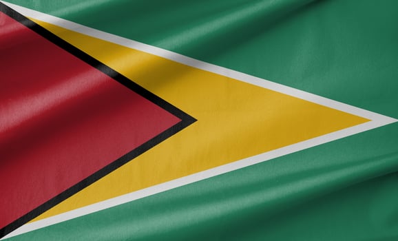 Guyana National Flag Waving in the Wind photo