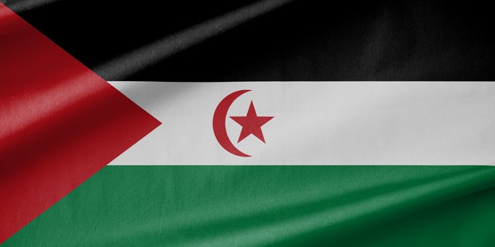 Western Sahara National Flag Waving in the Wind photo