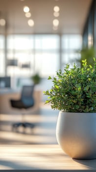 Modern office interior featuring a decorative plant during bright daylight hours photo