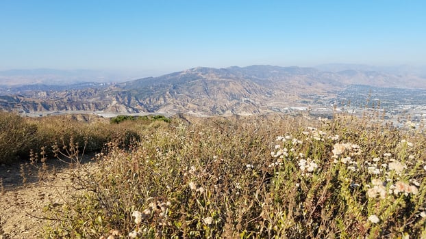 Spring View with Wildflowers, High Up in O'Melveny Park in Los Angeles, CA photo