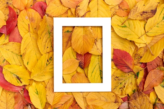 Vertical thick white hollow frame lies in the middle on yellow leaves photo
