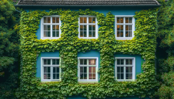 Green ivy covers charming blue house. A charming blue house is adorned with lush green ivy, creating a serene and inviting atmosphere in the neighborhood. photo