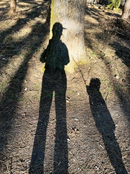 Shadow of a person and dog projected on a forest ground during sunlight photo
