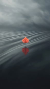 Calm water reflects vibrant red leaf amidst soft gray tones photo