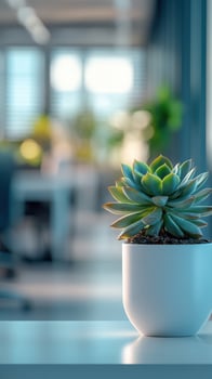 Bright office space featuring a succulent plant in a modern pot with blurred backgrounds of workstations and natural light photo