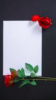 Artificial stalk of red roses with blank paper for copy space isolated on black background photo