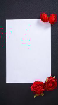 An artificial red rose with blank paper for copy space isolated on black background photo