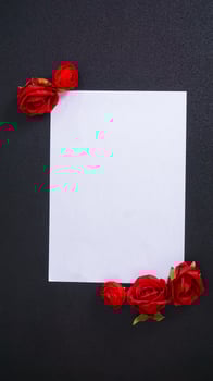 A beautiful artificial red rose with blank paper for copy space isolated on black background photo