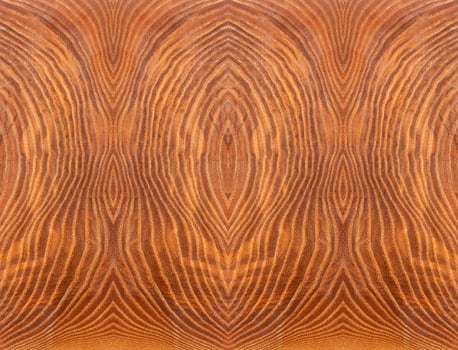 background is pattern with a wood texture on brown slice. Stabilized wood photo