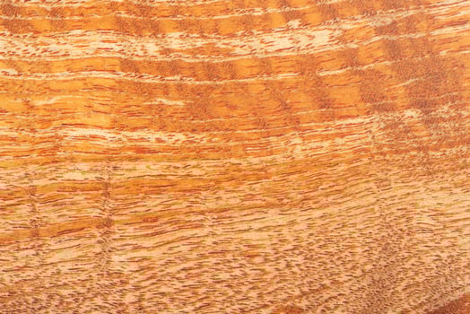 macro photo brown background made of natural wood. A