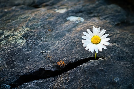 Breaking Through Adversity photo