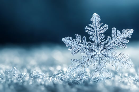 Close Up of a Snowflake on a Frozen Surface photo