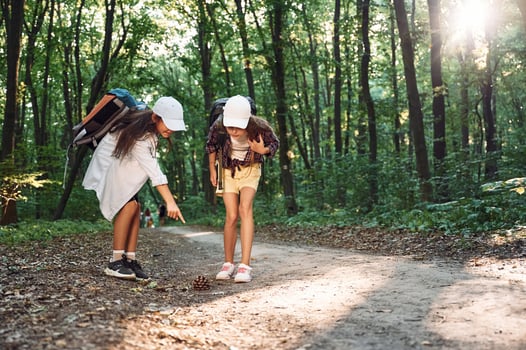 Looking at conifer cone. Two girls is in the forest having a leisure activity, discovering new places photo