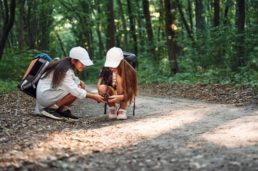 Looking at conifer cone. .Two girls is in the forest having a leisure activity, discovering new places photo