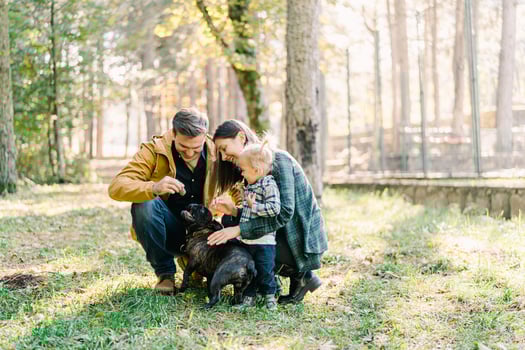 Dad and mom smiling petting a dog squatting in the park next to a little girl photo