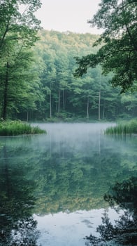 Calm morning at the serene lake photo