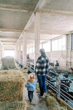 Mom leads a little girl by the hand past the haystacks on the farm photo
