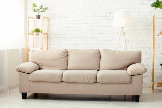 Minimalist style. Modern living room with sofa, plants and window in daylight, free space photo
