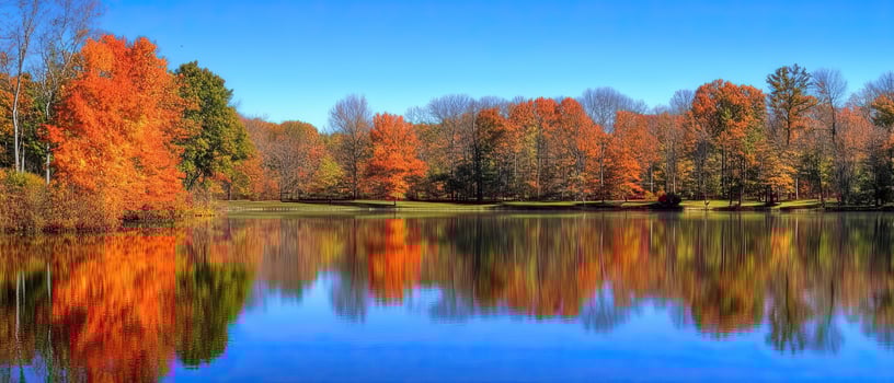 Autumn lake reflection, vibrant fall foliage, park scenery, nature postcard photo