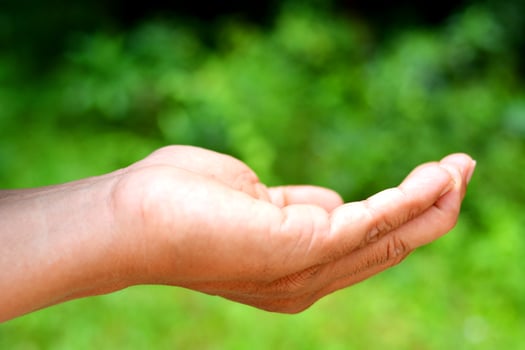 Empty hand of man on green blur background. Isolated arm holding palm, fingers open up, take sign. Give business showing human object, close side of young wrist. photo