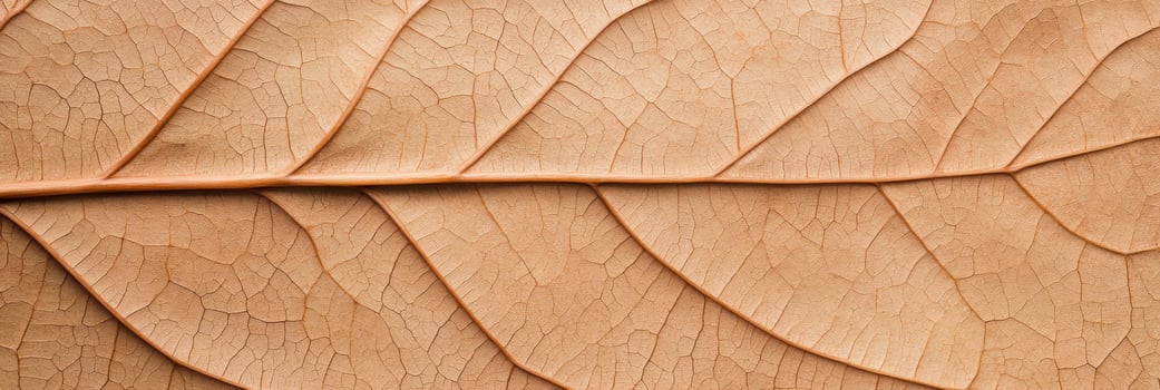 Natures beauty shines through intricate leaf patterns, showcasing the harmony of organic design and natural textures in soft earthy tones photo