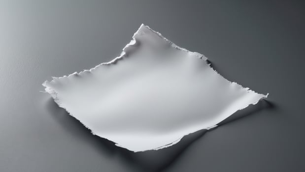 A piece of torn white paper displays rugged edges on a smooth surface with gentle lighting. photo
