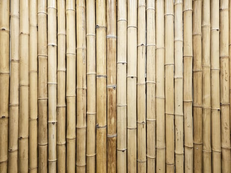 Bamboo Stick Wall Texture Background. photo