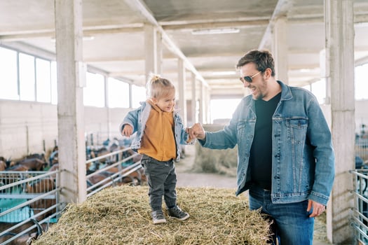 Smiling dad holding the hand of a little girl standing on a bale of hay at the farm photo
