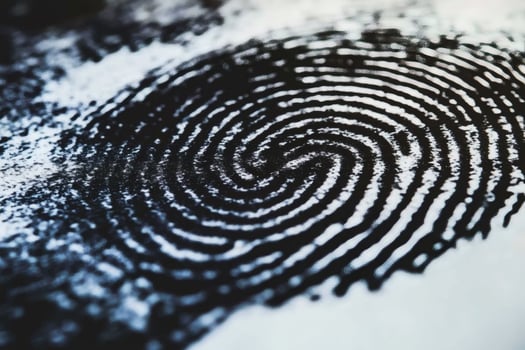 Intricate patterns of a fingerprint captured in detail. photo