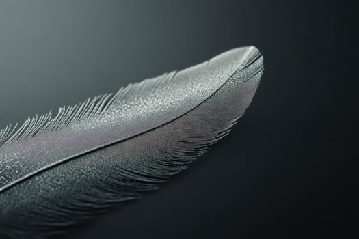 Delicate feather resting quietly on dark surface. photo