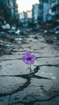 Purple flower growing through cracked asphalt in a destroyed city street photo