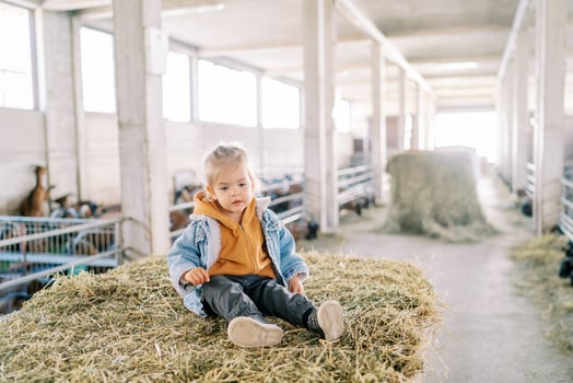 Little thoughtful girl sitting on a bale of hay at the farm near the goat pens photo
