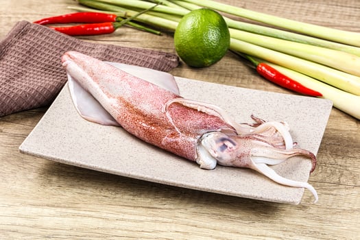 A squid on a plate photo