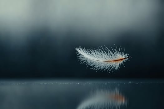 Delicate feather floats gracefully on a reflective surface. photo