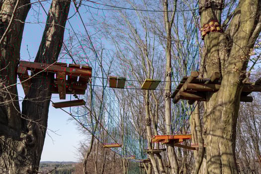 Winter Rope Park with Platforms and Bridges Amid Bare Trees photo