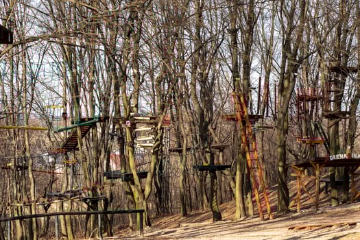 Aerial Rope Park in Winter with Platforms and Bare Trees photo