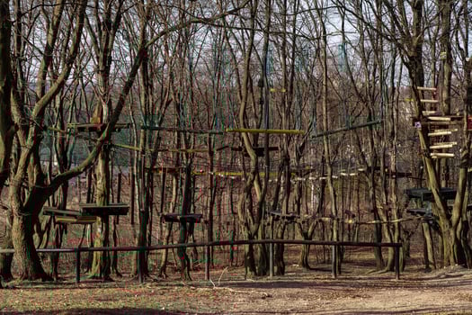 Rope Bridges and Platforms in a Winter Forest Adventure Park photo