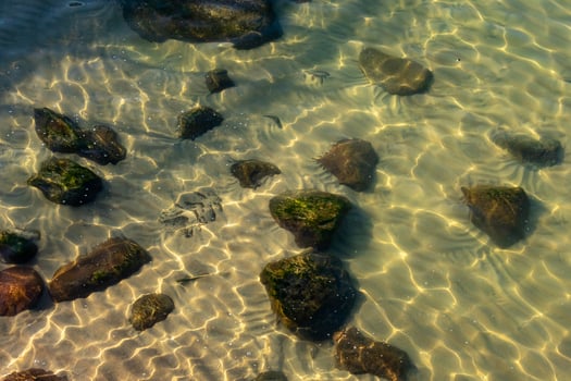 stones at the bottom of the Baltic Sea horizontal photo