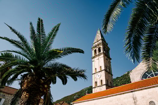 View through green palm branches to the high bell tower of the Church of St. Nicholas. Perast, Montenegro photo
