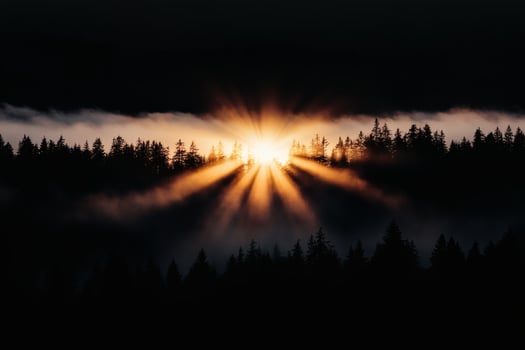 Sunlight breaks through morning clouds over tranquil forest landscape. photo