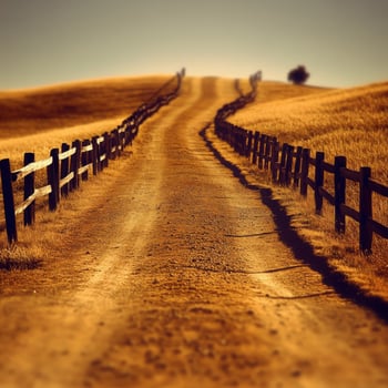 Dusty dirt road winding through golden fields under a clear sky photo