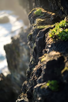 Lush moss covering rocky coastal cliffs photo