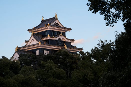 The castle of Okayama, Japan, during sunset photo