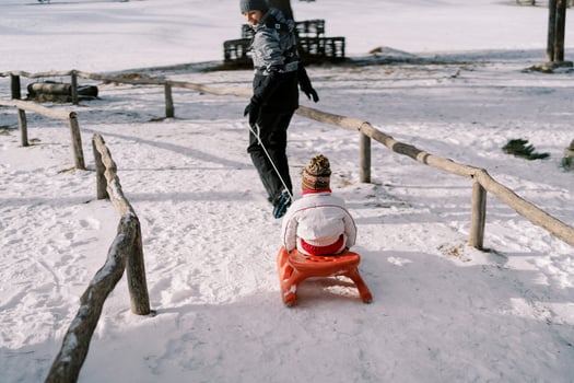 Mom carries a little girl on a sled along a path, looking back. Back view photo