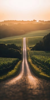 Scenic countryside road at sunset photo